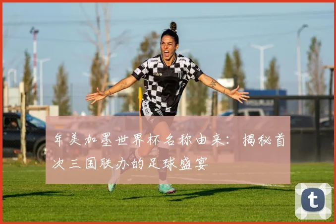 年美加墨世界杯名称由来：揭秘首次三国联办的足球盛宴