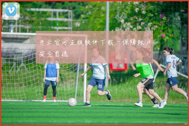 开云官方正版软件下载 - 保障账户安全首选