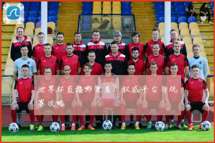 世界杯直播哪里看？权威平台与观赛攻略
