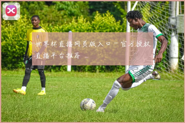 世界杯直播网页版入口 - 官方授权直播平台推荐