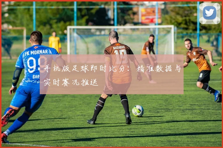 手机版足球即时比分：精准数据与实时赛况推送