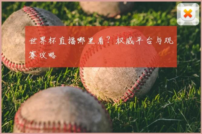 世界杯直播哪里看？权威平台与观赛攻略